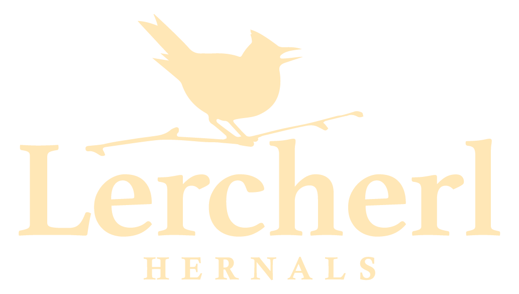 Lercherl von Hernals