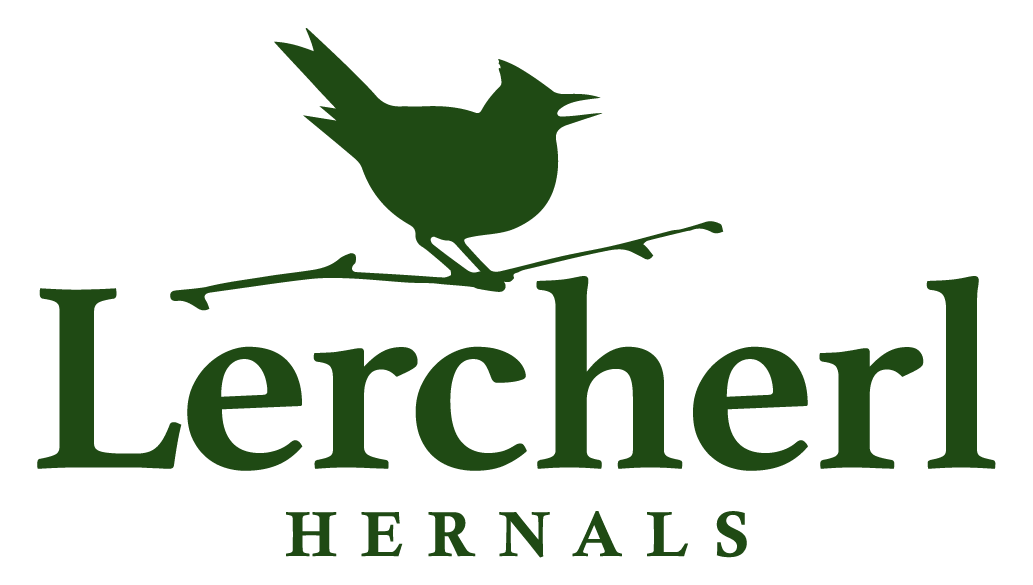 Lercherl von Hernals